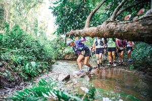 BIB: 
                            <button type="button" onclick="openModal(25514613)" class="btn btn-primary btn-sm float-right btn-popup" data-toggle="modal" data-target=".modal-high-quality">
                        <i class="fas fa-shopping-cart"></i> Add to Cart
                    </button>
                                            <button type="button" onclick="isThisMe(25514613, true)" class="btn btn-success btn-sm float-right btn-popup btn-isme hidden" data-toggle="tooltip" data-placement="bottom" title="นี่คือรูปของคุณใช่ไหม คลิกที่นี่เพื่อเอาเข้าอัลบั้ม">
                        <i class="fas fa-plus"></i> Add to album
                    </button>
                    <button type="button" onclick="isThisMe(25514613, false)" class="btn btn-warning btn-sm float-right btn-popup btn-isnotme hidden">
                        <i class="fas fa-ban"></i> Remove from album
                    </button>